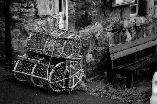 Pros and Cons of Commercial Trawling