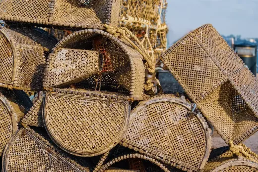 Choose Angling as a Hobby