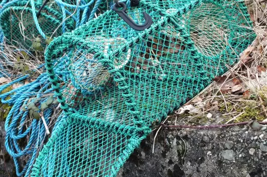 Bait Casting Fishing for Beginners