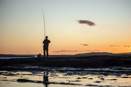 Fishing your Local River for Trout