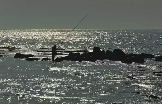 Some Tips on Big Game Fishing